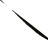 karolrar