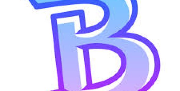 Bingo VL v2.1.0.5 2026 Download With Activation Key